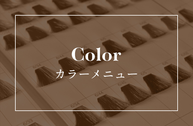 Color カラーメニュー